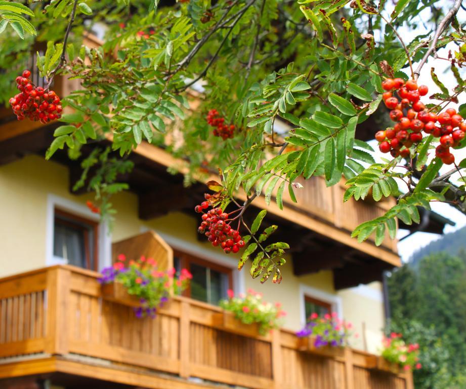 Haus Farmer Sankt Martin am Tennengebirge Buitenkant foto